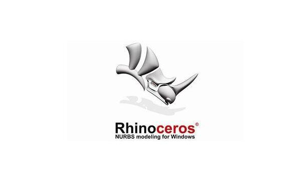 rhinoceros beetle多大了?